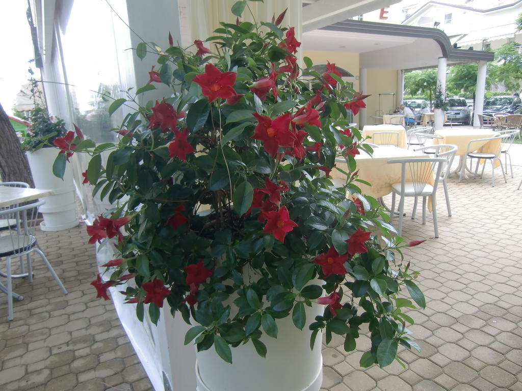 Hotel Explorer Cervia Exterior photo